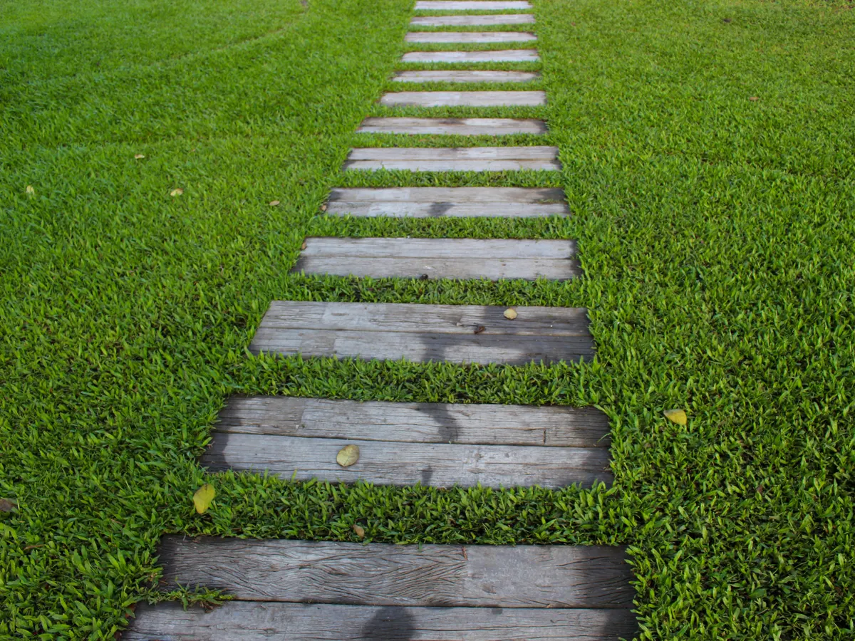 Paths steps