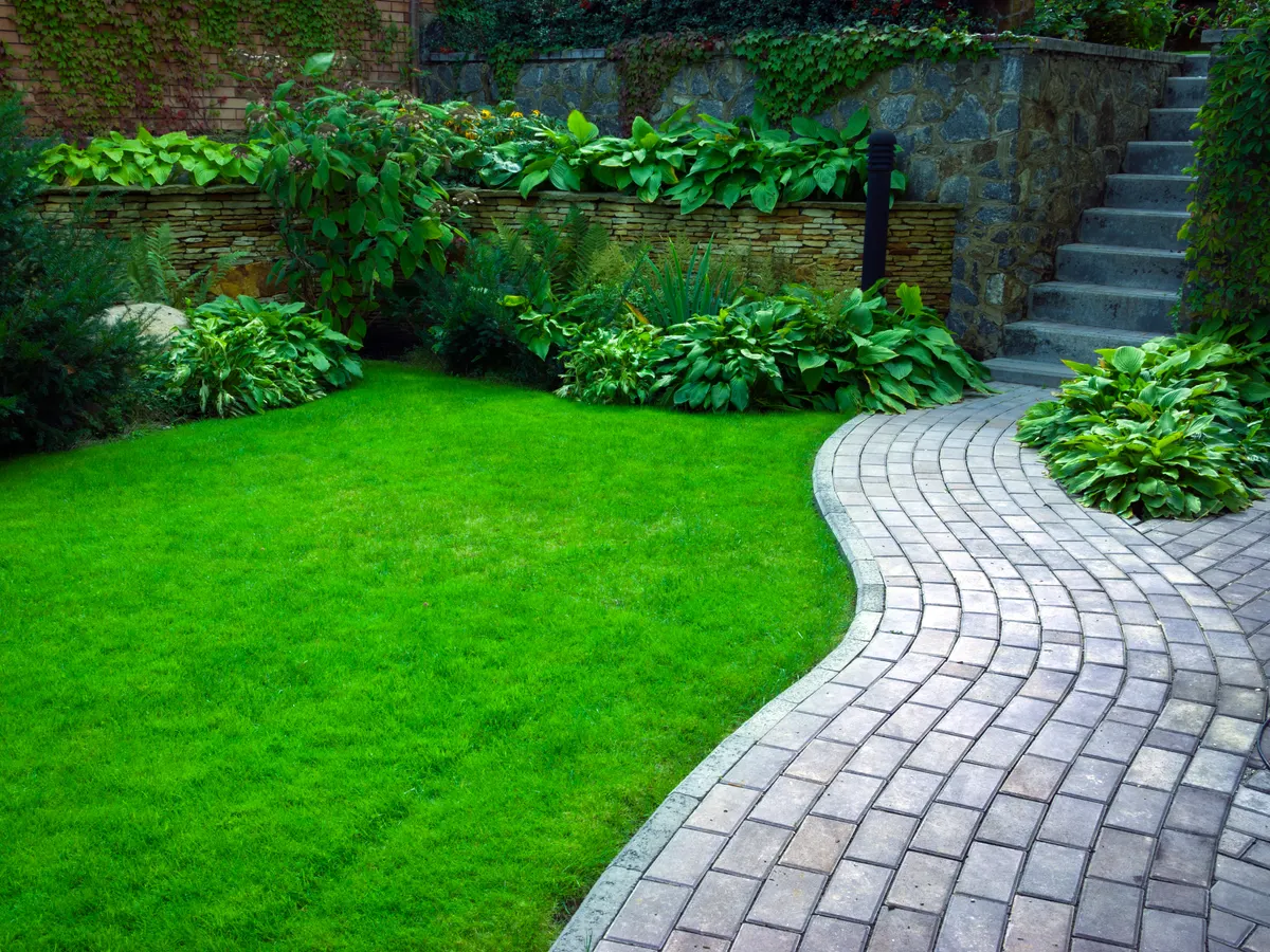Paths steps